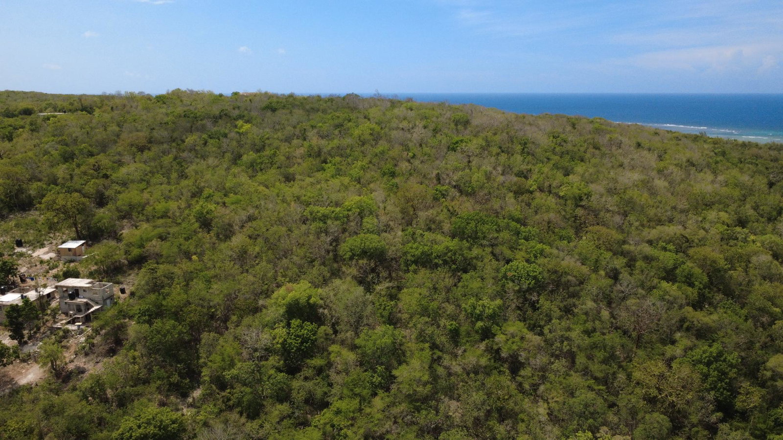 18-Acres-Residential-Development-Land-for-Sale-in-Falmouth-Trelawny-Jamaica Seventh image of Falmouth, Litchfield & co in Falmouth, Trelawny, Jamaica - property is For Sale