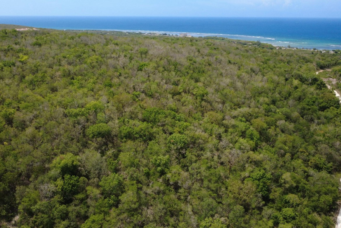 Eighth image of Falmouth, Litchfield & co in Falmouth, Trelawny, Jamaica - property is For Sale