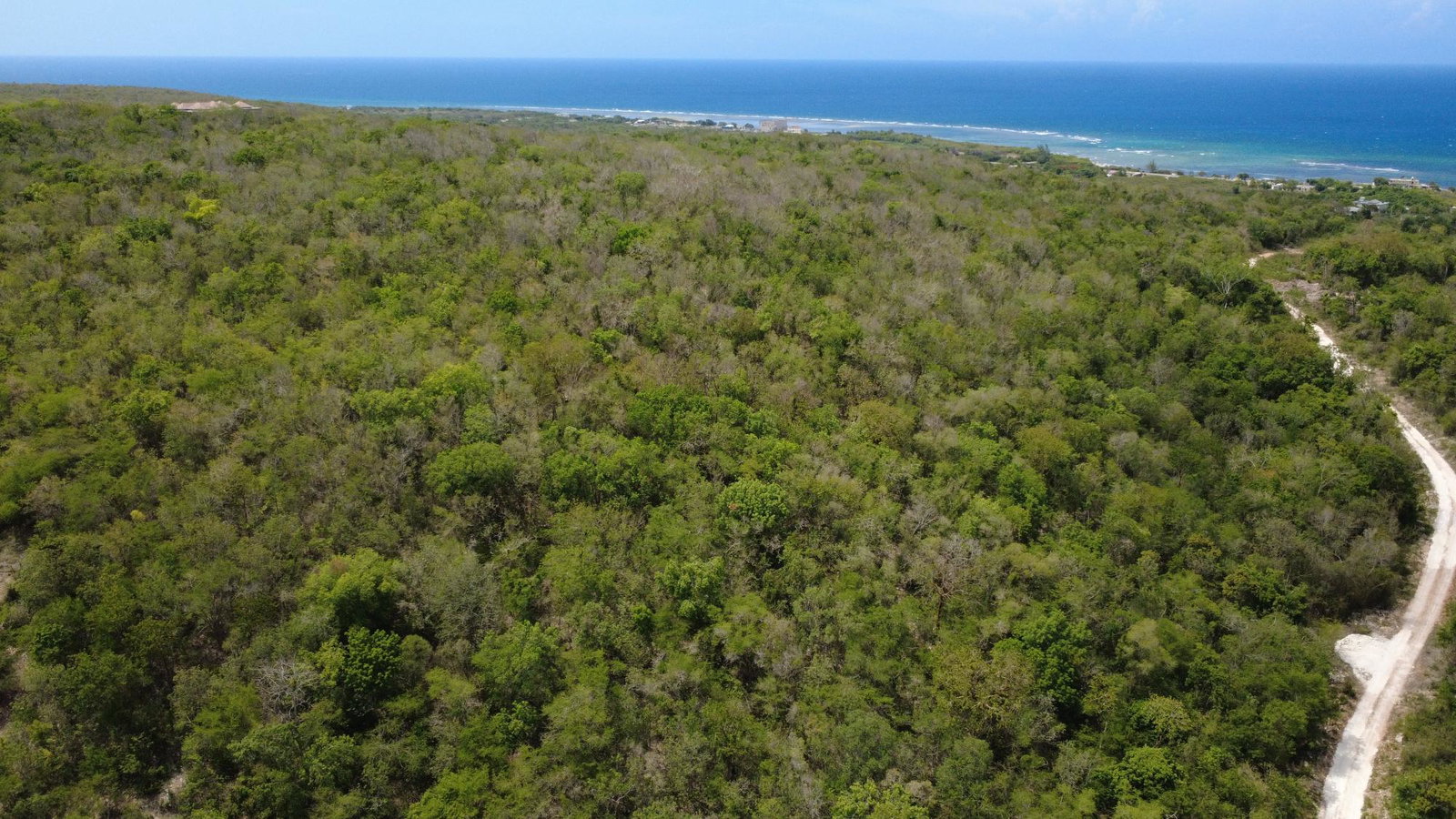 18-Acres-Residential-Development-Land-for-Sale-in-Falmouth-Trelawny-Jamaica Eighth image of Falmouth, Litchfield & co in Falmouth, Trelawny, Jamaica - property is For Sale