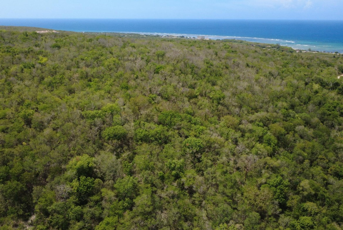Ninth image of Falmouth, Litchfield & co in Falmouth, Trelawny, Jamaica - property is For Sale