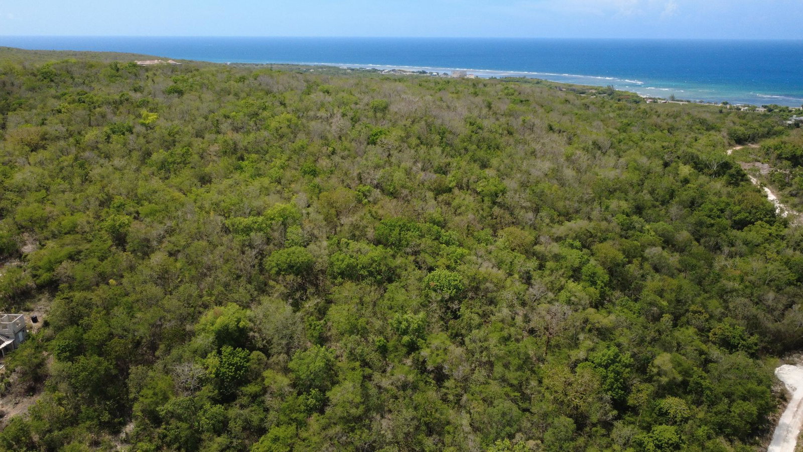 18-Acres-Residential-Development-Land-for-Sale-in-Falmouth-Trelawny-Jamaica Ninth image of Falmouth, Litchfield & co in Falmouth, Trelawny, Jamaica - property is For Sale
