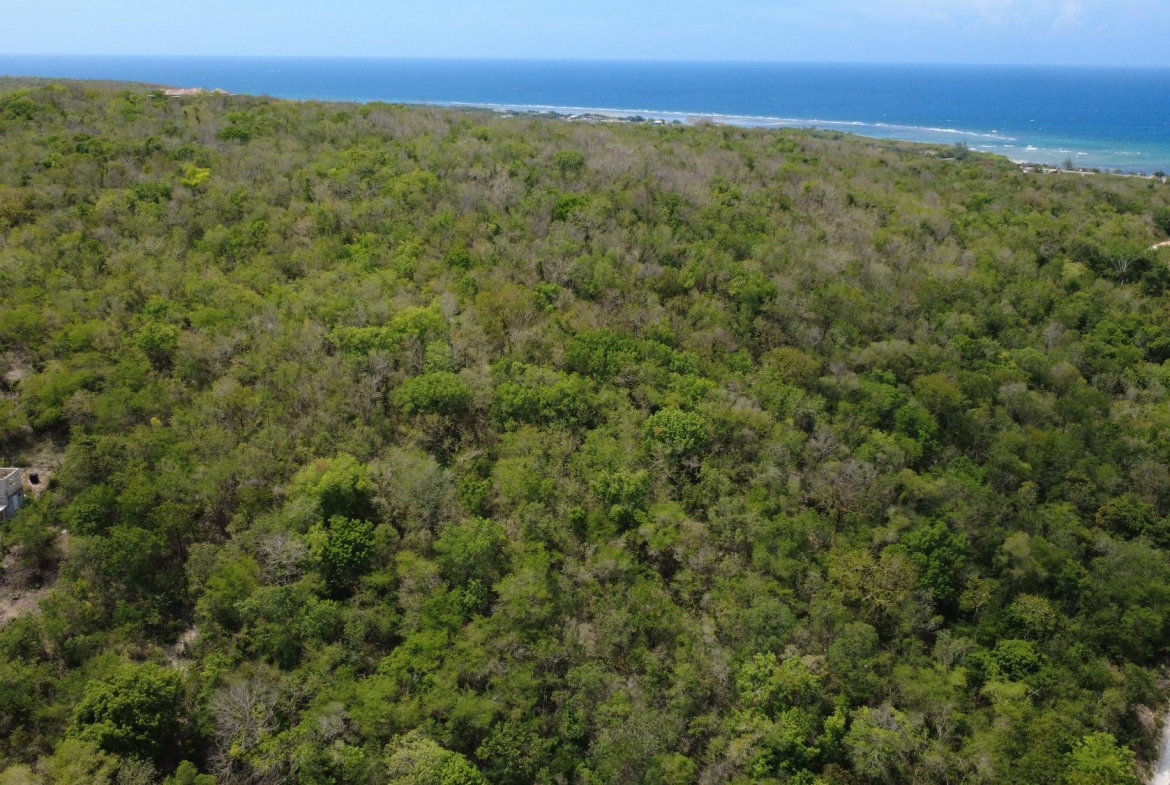 Tenth image of Falmouth, Litchfield & co in Falmouth, Trelawny, Jamaica - property is For Sale