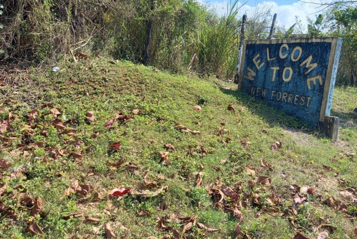 First image of 87 Duanvale, New Forest Trel in Duanvale, Trelawny, Jamaica - property is For Sale