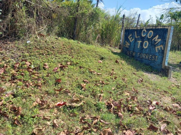 First image of 87 Duanvale, New Forest Trel in Duanvale, Trelawny, Jamaica - property is For Sale