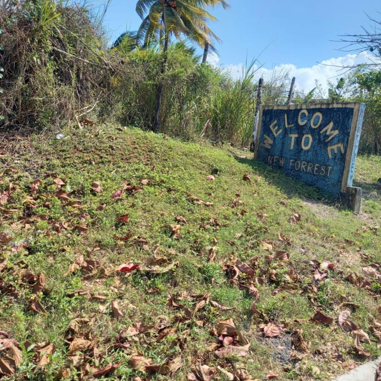 First image of 87 Duanvale, New Forest Trel in Duanvale, Trelawny, Jamaica - property is For Sale