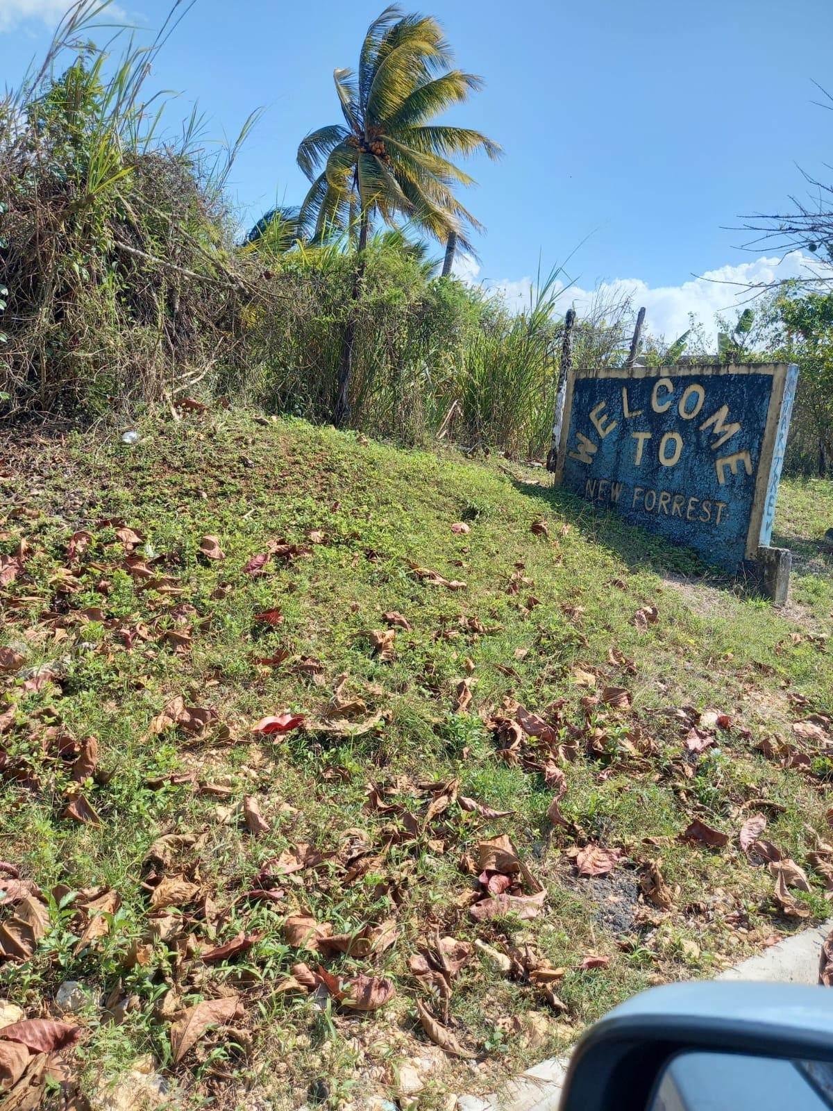 First image of 87 Duanvale, New Forest Trel in Duanvale, Trelawny, Jamaica - property is For Sale