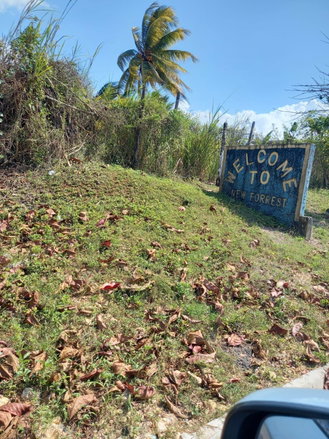 First image of 87 Duanvale, New Forest Trel in Duanvale, Trelawny, Jamaica - property is For Sale