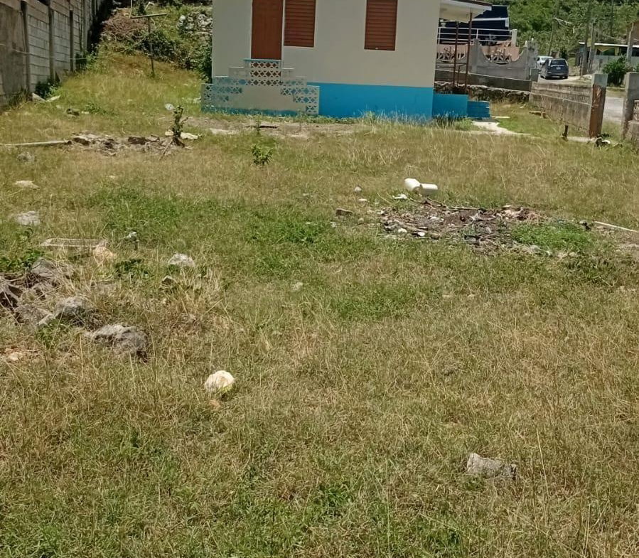 Twenty-Second image of Lot 128 Old Hague Street, Falmout in Falmouth, Trelawny, Jamaica - property is For Sale