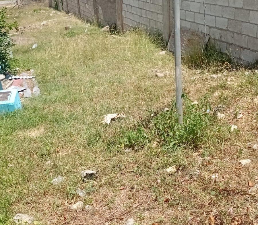 Eighth image of Lot 128 Old Hague Street, Falmout in Falmouth, Trelawny, Jamaica - property is For Sale