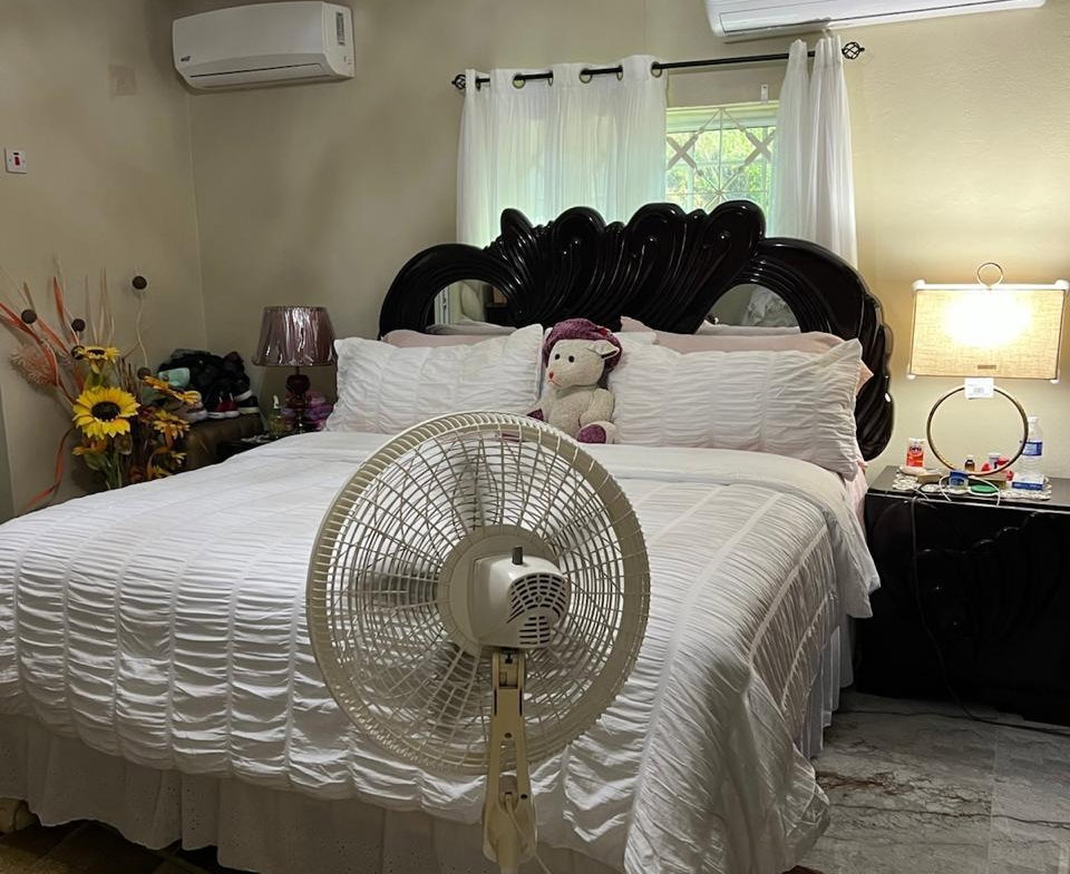 Fourth image of Mount George, Yallahs P,0 in Yallahs, St. Thomas, Jamaica - property is For Sale