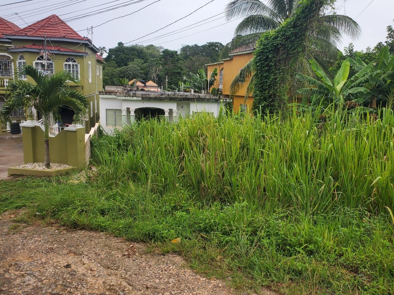 Fourth image of 52 Industry Pen in Retreat, St. Mary, Jamaica - property is For Sale