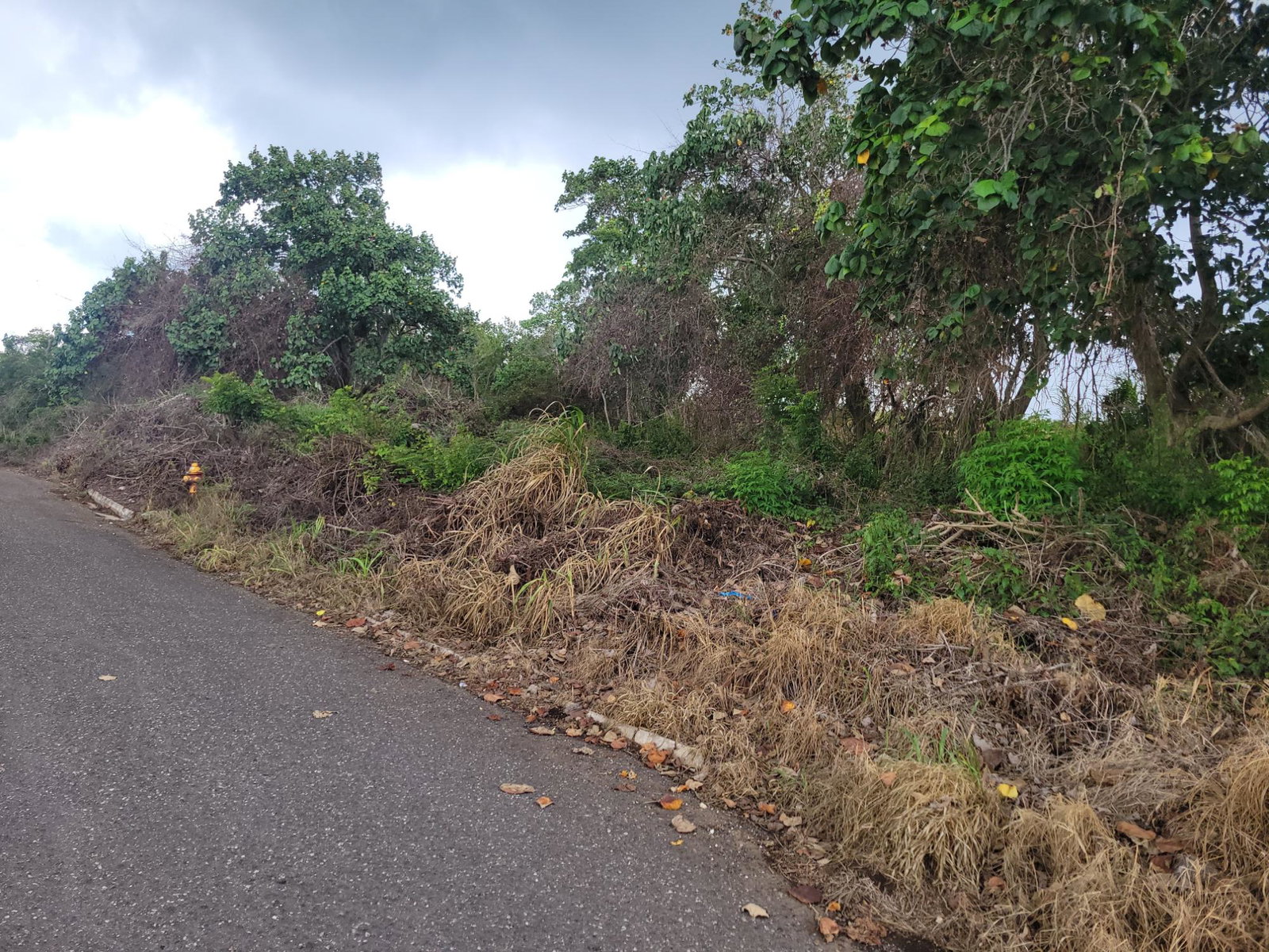 Second image of Pimento Drive in Spur Tree, Manchester, Jamaica - property is For Sale