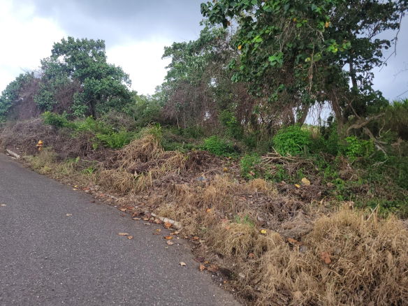 First image of Pimento Drive in Spur Tree, Manchester, Jamaica - property is For Sale