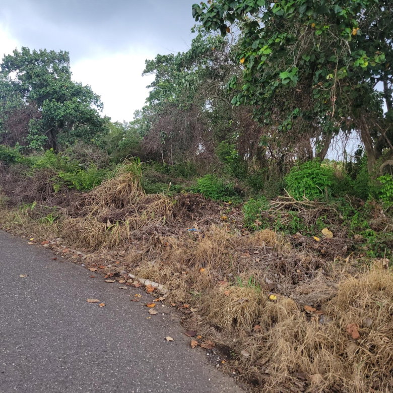First image of Pimento Drive in Spur Tree, Manchester, Jamaica - property is For Sale