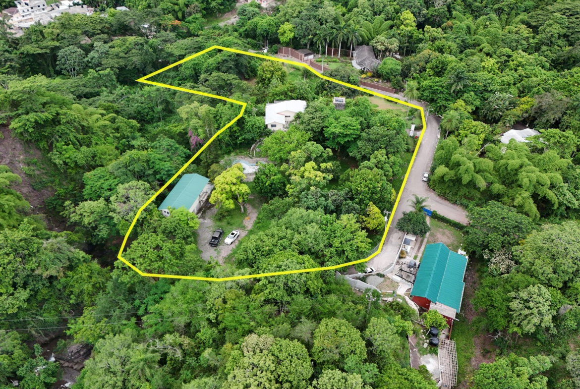 Third image of Unity Grove, Mammee River in Gordon Town P.O., St. Andrew, Jamaica - property is For Sale