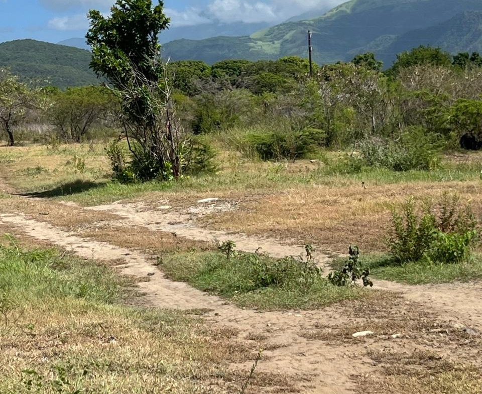 Third image of East Albion in Albion, St. Thomas, Jamaica - property is For Sale
