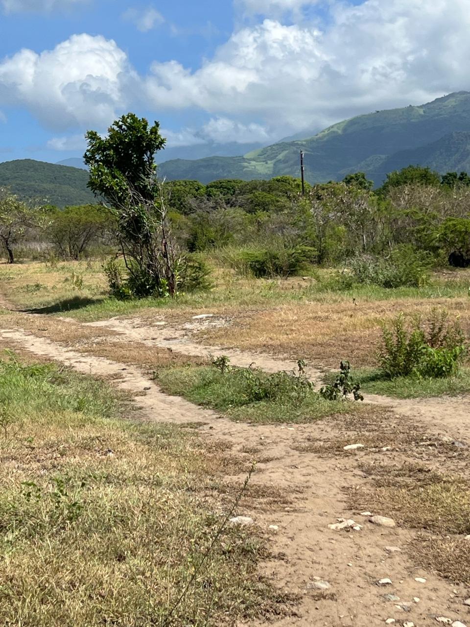 Third image of East Albion in Albion, St. Thomas, Jamaica - property is For Sale