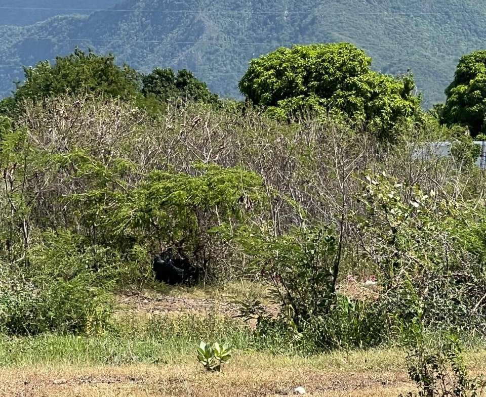 Fourth image of East Albion in Albion, St. Thomas, Jamaica - property is For Sale