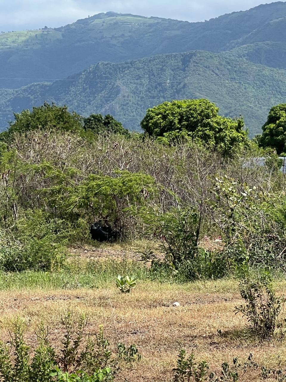 Fourth image of East Albion in Albion, St. Thomas, Jamaica - property is For Sale