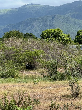 Fourth image of East Albion in Albion, St. Thomas, Jamaica - property is For Sale