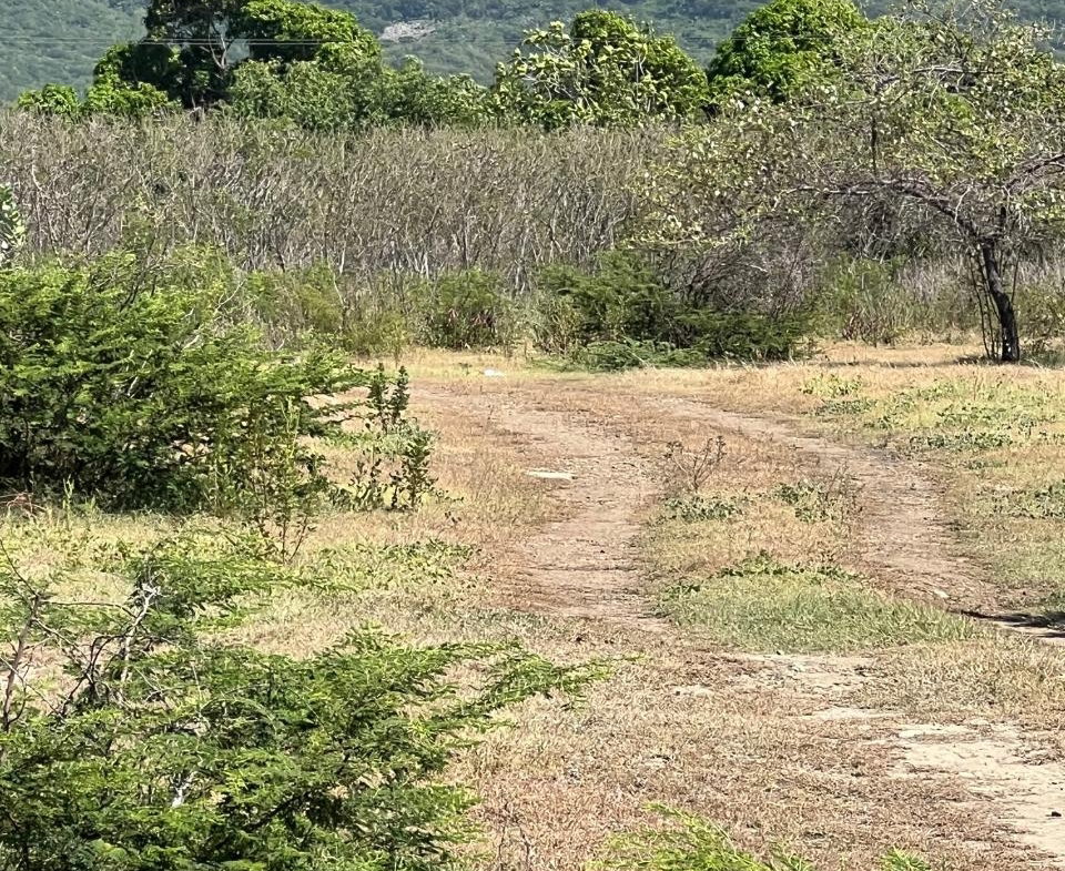 Fifth image of East Albion in Albion, St. Thomas, Jamaica - property is For Sale