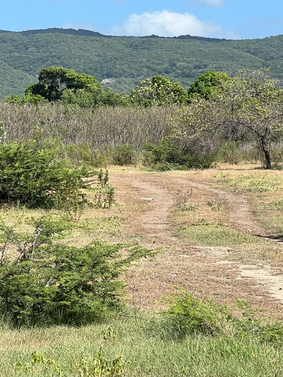 Fifth image of East Albion in Albion, St. Thomas, Jamaica - property is For Sale