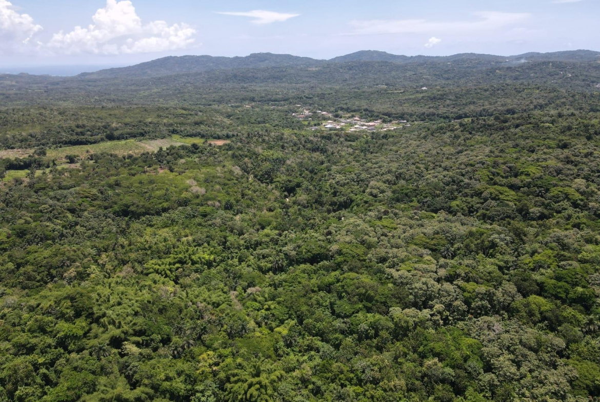 Second image of 3 Nonsuch, St. Mary in Highgate, St. Mary, Jamaica - property is For Sale
