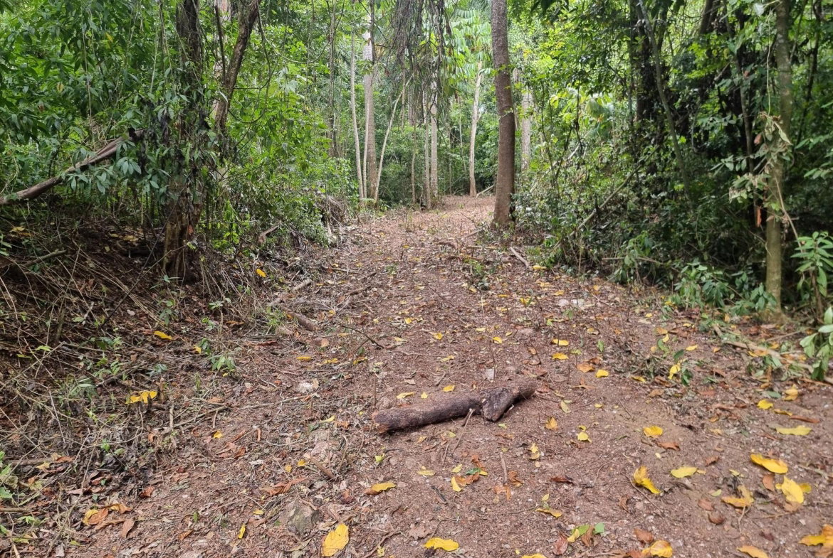 First image of 3 Nonsuch, St. Mary in Highgate, St. Mary, Jamaica - property is For Sale