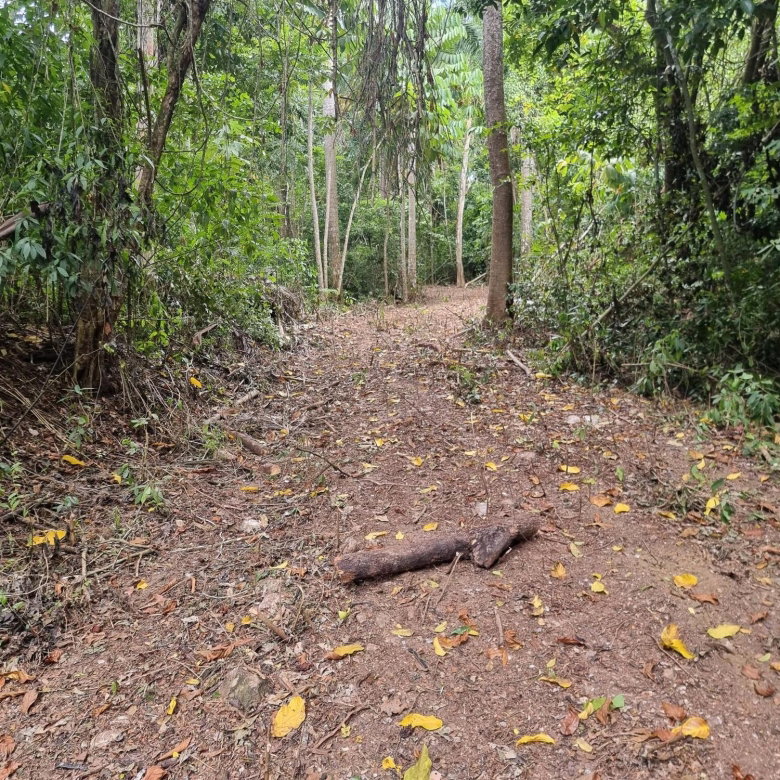 First image of 3 Nonsuch, St. Mary in Highgate, St. Mary, Jamaica - property is For Sale