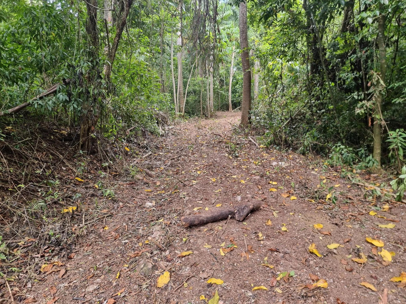 First image of 3 Nonsuch, St. Mary in Highgate, St. Mary, Jamaica - property is For Sale