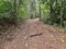 First image of 3 Nonsuch, St. Mary in Highgate, St. Mary, Jamaica - property is For Sale