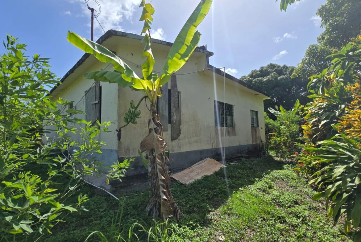 Twelfth image of Pleasant Hill in Pleasant Hill, St. Thomas, Jamaica - property is For Sale