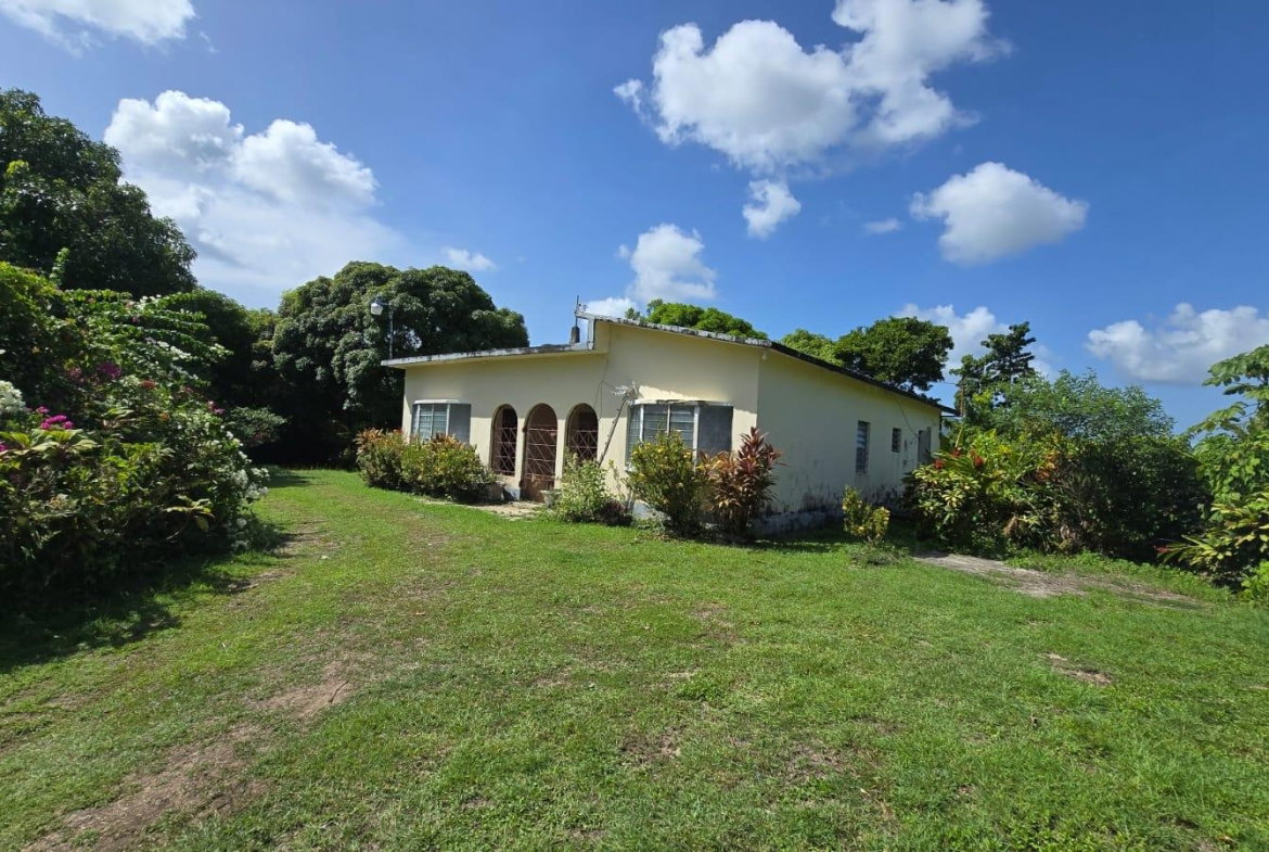 First image of Pleasant Hill in Pleasant Hill, St. Thomas, Jamaica - property is For Sale