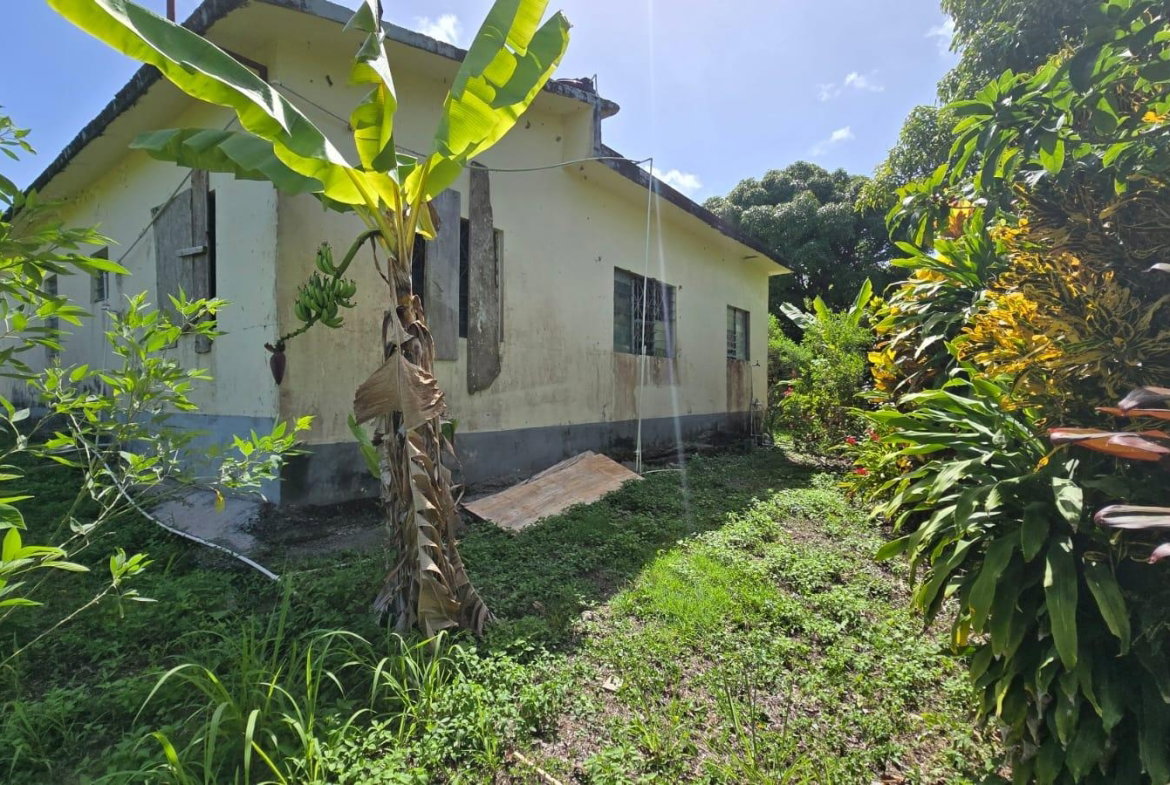 Thirteenth image of Pleasant Hill in Pleasant Hill, St. Thomas, Jamaica - property is For Sale