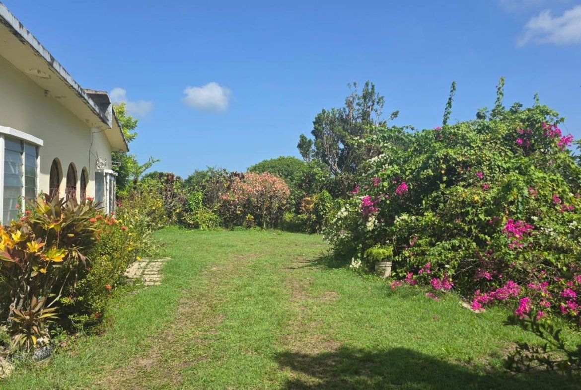Fourteenth image of Pleasant Hill in Pleasant Hill, St. Thomas, Jamaica - property is For Sale