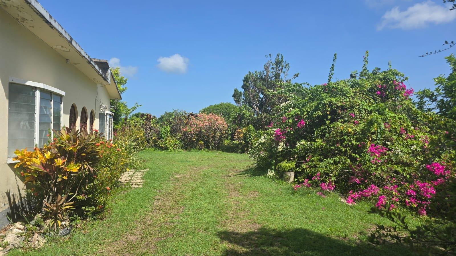 Fourteenth image of Pleasant Hill in Pleasant Hill, St. Thomas, Jamaica - property is For Sale