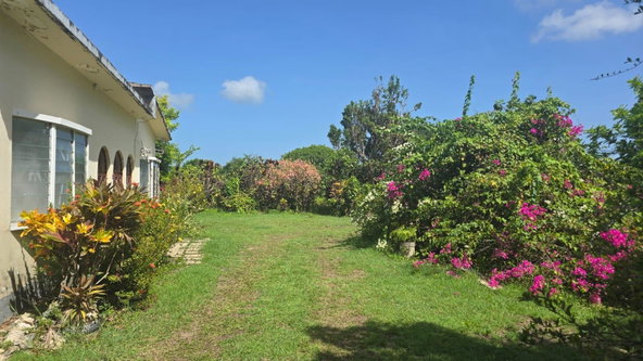 Fourteenth image of Pleasant Hill in Pleasant Hill, St. Thomas, Jamaica - property is For Sale