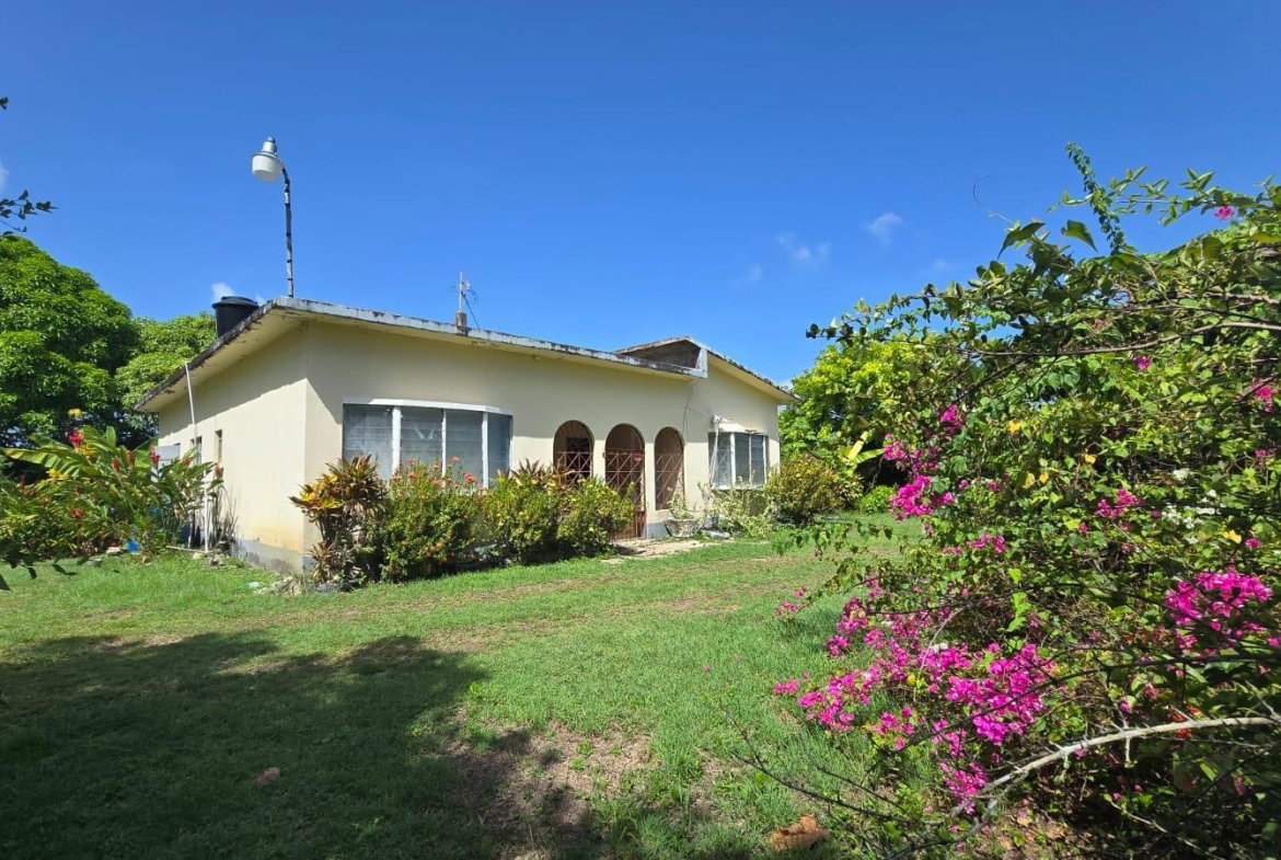 Sixteenth image of Pleasant Hill in Pleasant Hill, St. Thomas, Jamaica - property is For Sale