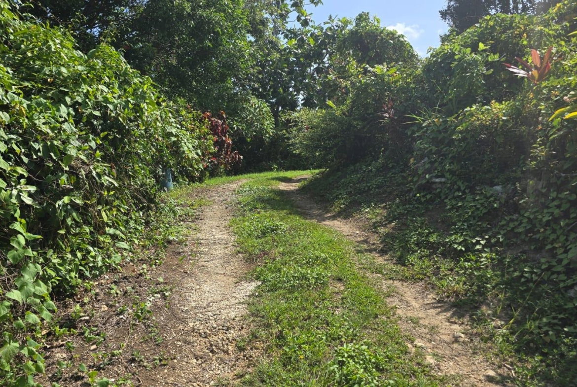 Twenty-Second image of Pleasant Hill in Pleasant Hill, St. Thomas, Jamaica - property is For Sale