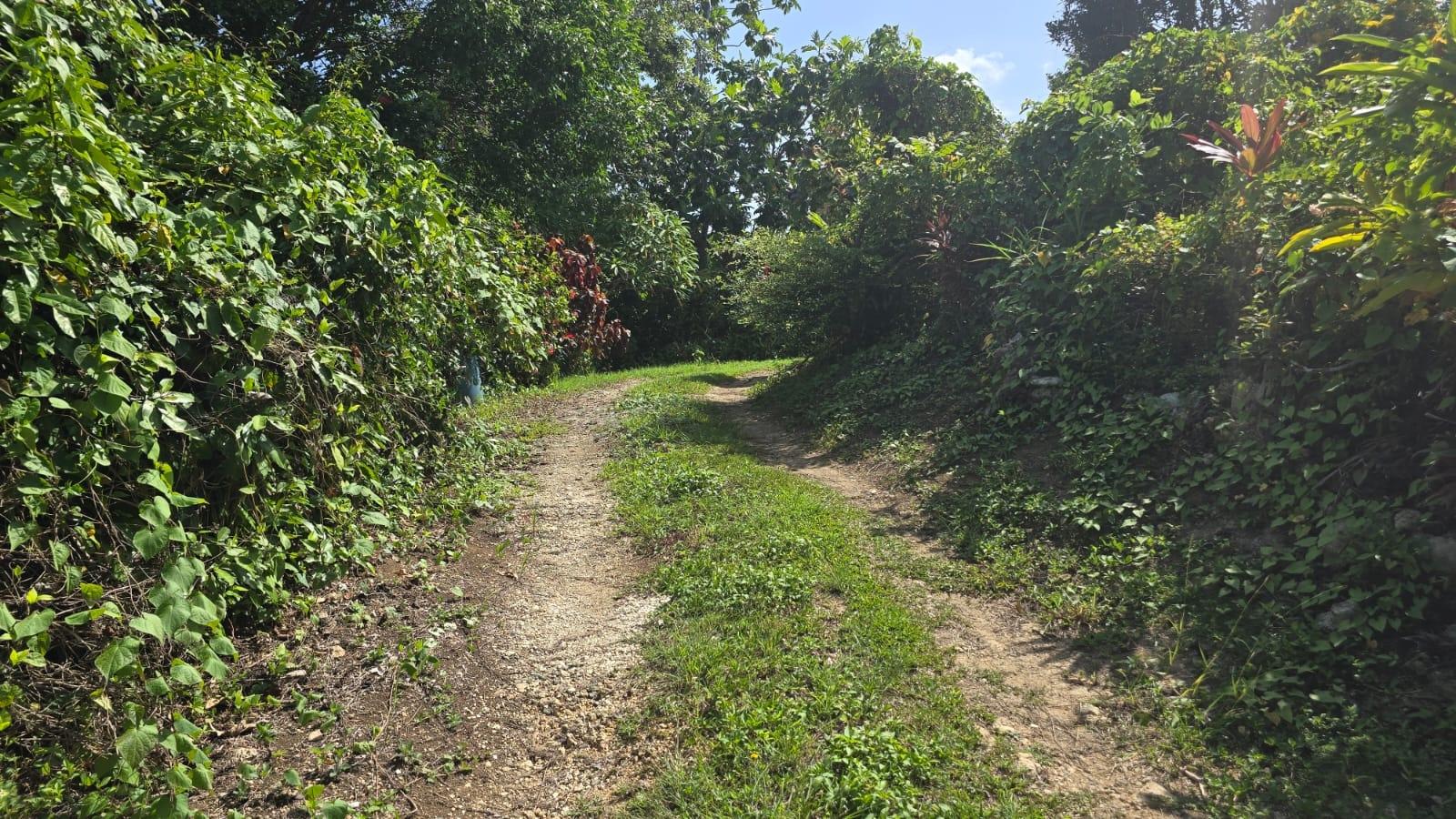 Twenty-Second image of Pleasant Hill in Pleasant Hill, St. Thomas, Jamaica - property is For Sale