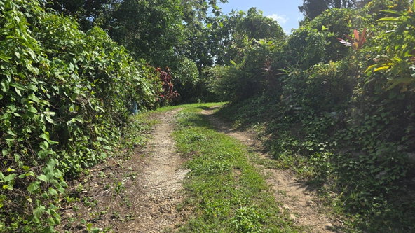 Twenty-Second image of Pleasant Hill in Pleasant Hill, St. Thomas, Jamaica - property is For Sale