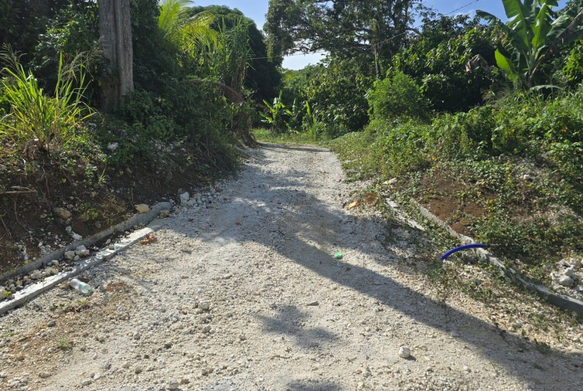 Twenty-Third image of Pleasant Hill in Pleasant Hill, St. Thomas, Jamaica - property is For Sale