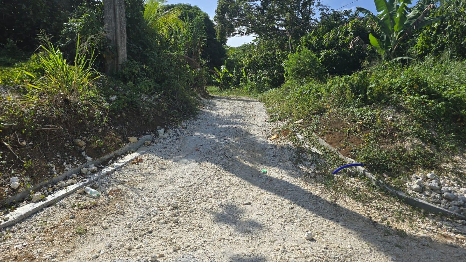 Twenty-Third image of Pleasant Hill in Pleasant Hill, St. Thomas, Jamaica - property is For Sale