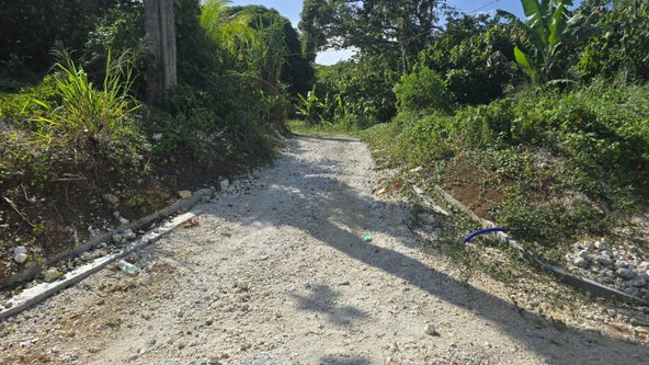 Twenty-Third image of Pleasant Hill in Pleasant Hill, St. Thomas, Jamaica - property is For Sale