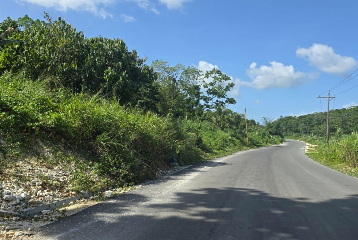 Twenty-Fourth image of Pleasant Hill in Pleasant Hill, St. Thomas, Jamaica - property is For Sale