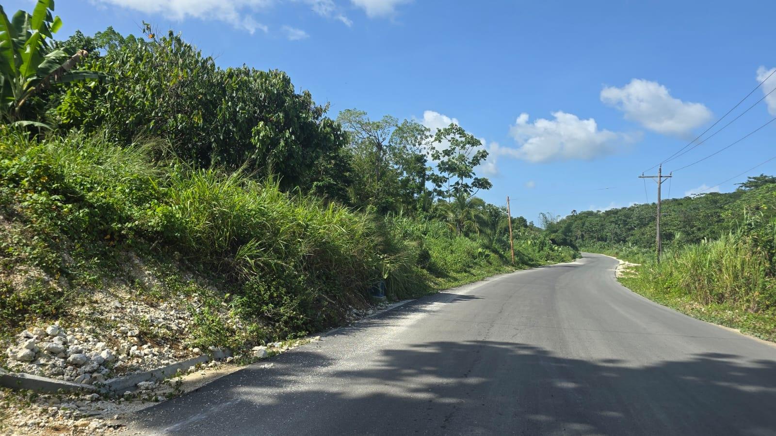 Twenty-Fourth image of Pleasant Hill in Pleasant Hill, St. Thomas, Jamaica - property is For Sale