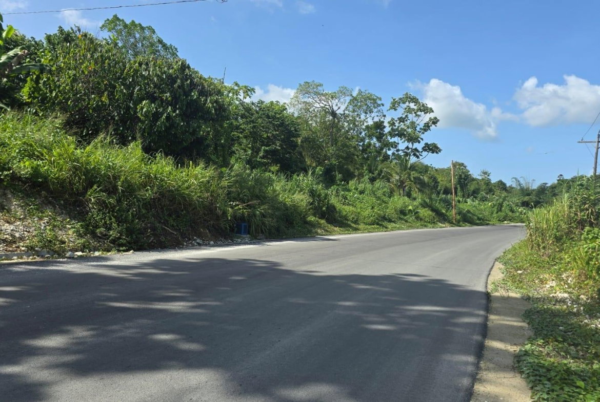 Twenty-Fifth image of Pleasant Hill in Pleasant Hill, St. Thomas, Jamaica - property is For Sale