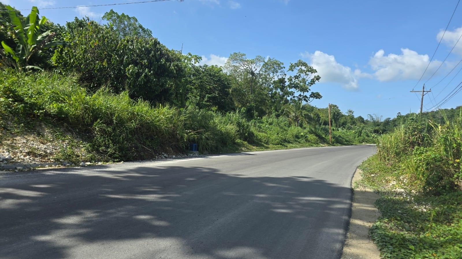Twenty-Fifth image of Pleasant Hill in Pleasant Hill, St. Thomas, Jamaica - property is For Sale