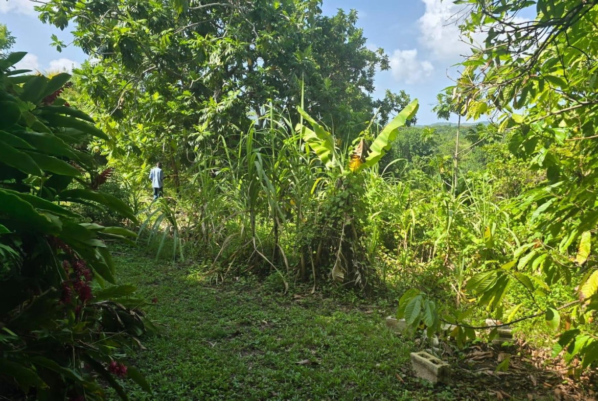Twenty-Sixth image of Pleasant Hill in Pleasant Hill, St. Thomas, Jamaica - property is For Sale
