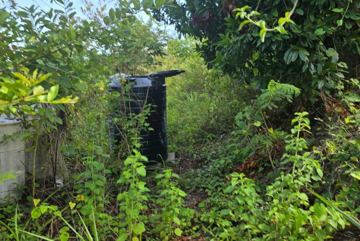 Twenty-Seventh image of Pleasant Hill in Pleasant Hill, St. Thomas, Jamaica - property is For Sale